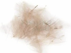 Pióra Cul De Canard