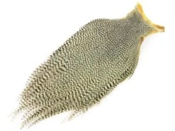 Ewing Kapki Szyjne Dry Fly Cape