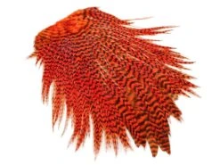 Freshwater Rooster Saddle Grizzly