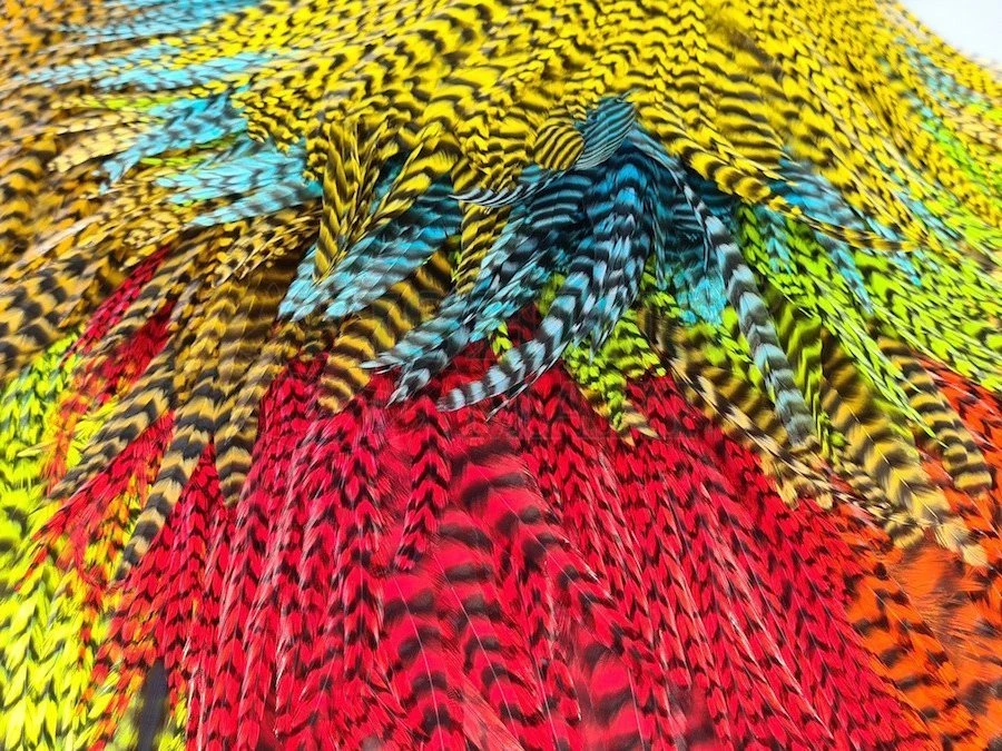 Freshwater Rooster Saddle Grizzly 2 Freshwater Rooster Saddle Grizzly - obrazek 2