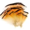 Wapsi Pióra Golden Pheasant Tippets