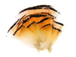 Wapsi Pióra Golden Pheasant Tippets