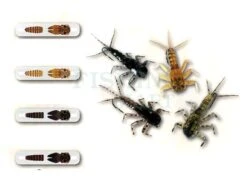 Mayfly Wings Buds And Back