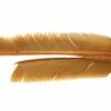 Pióra Turkey Biot Quills
