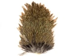 Kapki Siodłowe Kury Hen Saddle