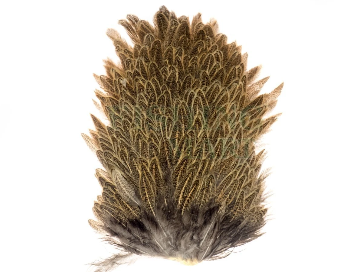 Kapki Siodłowe Kury Hen Saddle 1 Kapki Siodłowe Kury Hen Saddle