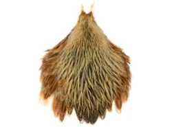 Kapki Szyjne Kury Hen Neck