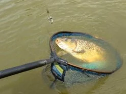 Koszyki Ics Inline Dura Flat Method Feeder - Mini -Sklep Wapsi koszyki ics inline dura flat method feeder mini cd