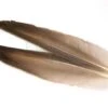 Lotki Mallard Duck Wing Quills Grey