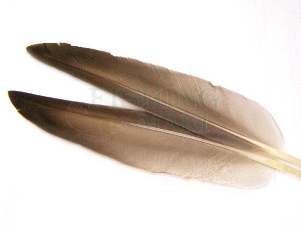 Lotki Mallard Duck Wing Quills Grey 1 Lotki Mallard Duck Wing Quills Grey