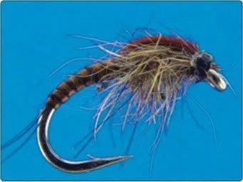 Nimfy, Larwy (bezzadziorowe) 1 Nimfy, Larwy (bezzadziorowe)