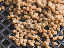 Sonubaits Pellet Pro Expander -Sklep Wapsi pellet pro expander of