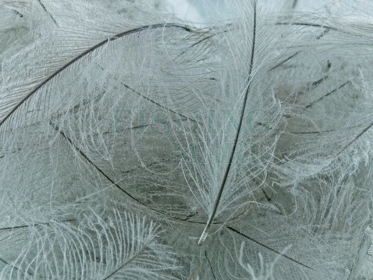 Pióra CDC Gęsi 1G 2 Pióra CDC Gęsi 1G - obrazek 2