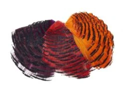 Pióra Bażanta Złocistego GP Tippet 1/2 Collar Dyed