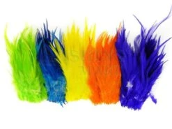 Pióra Siodłowe Kogutów