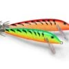Rapala Przynęty CountDown Squid