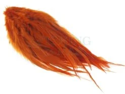 Pióra Rooster Saddle Feather