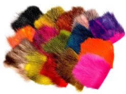 Sierści American Opossum