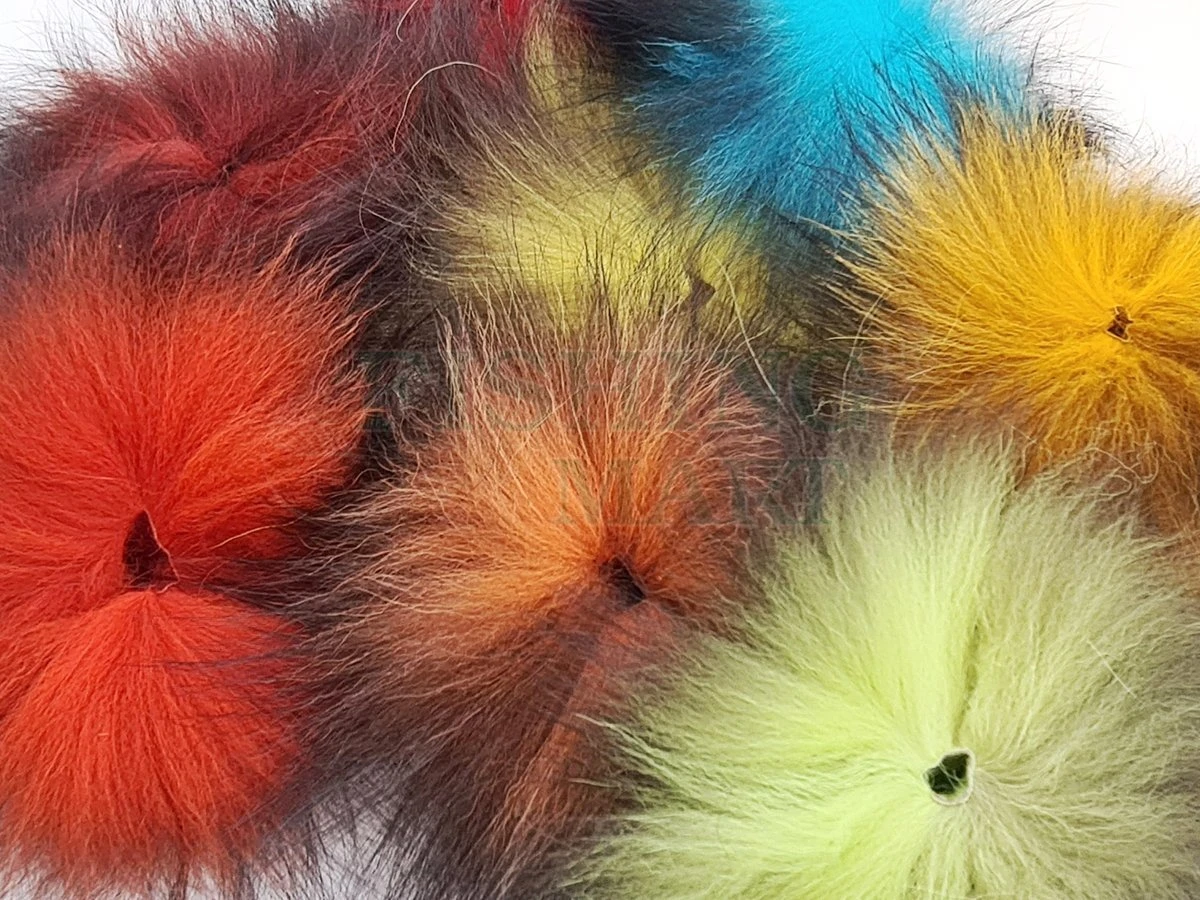 Sierści Lisa Golden Silver Fox 2 Sierści Lisa Golden Silver Fox - obrazek 2