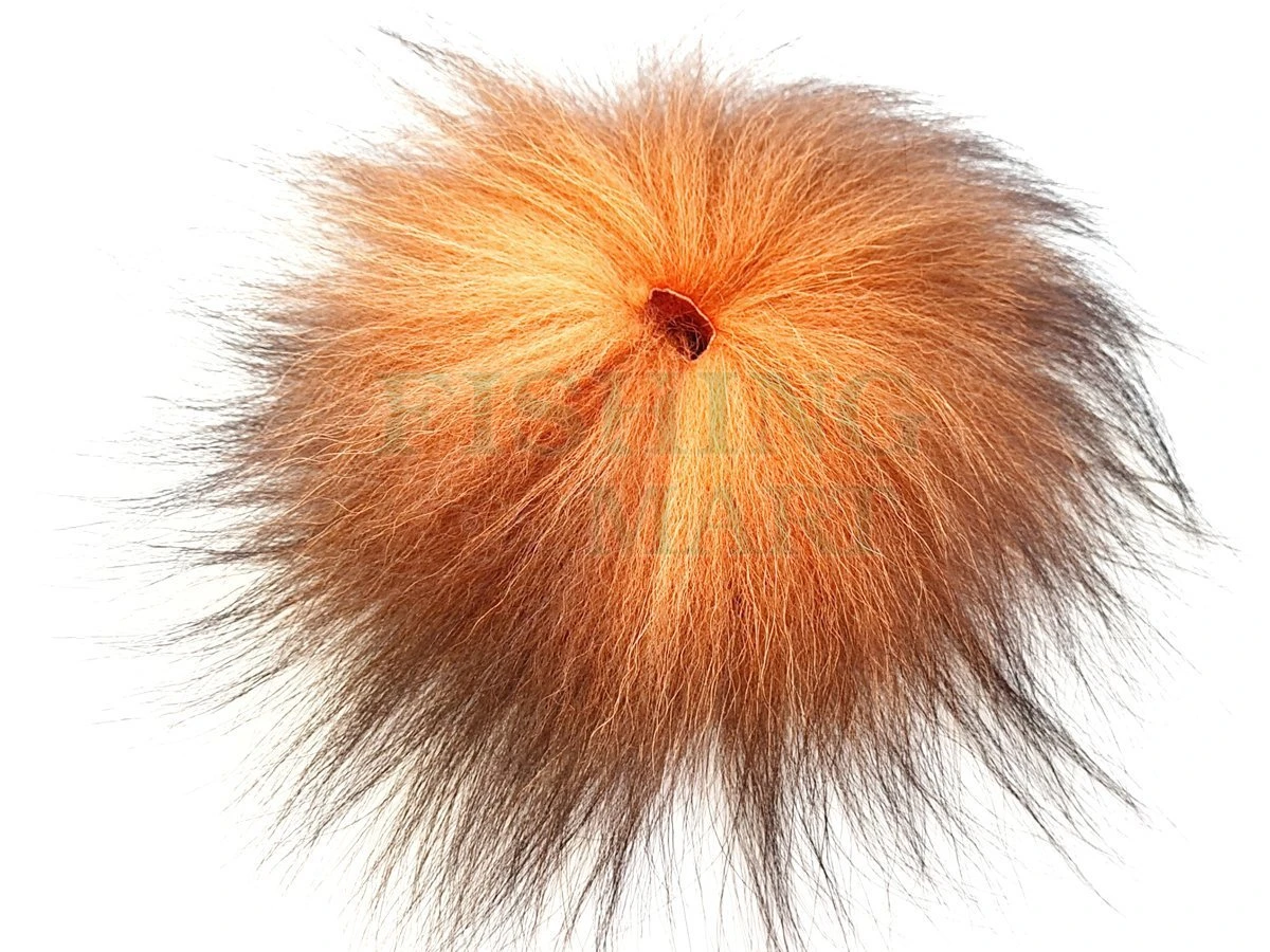 Sierści Lisa Golden Silver Fox 1 Sierści Lisa Golden Silver Fox