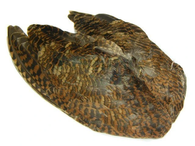 Skrzydła Słonki 1 Skrzydła Słonki