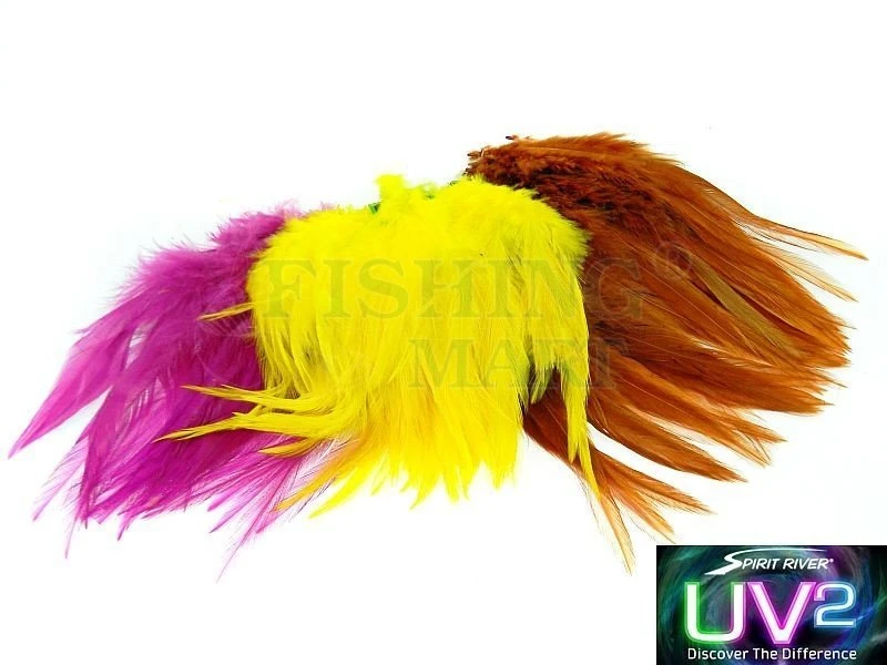 Pióra Koguta UV2 Strung Saddle 1 Pióra Koguta UV2 Strung Saddle