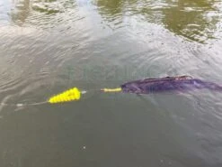 BLACK CAT Spławiki Podwodne Tree U-Float -Sklep Wapsi splawiki podwodne tree u float x1