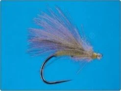 Suche Muchy - CDC (zadziorowe)