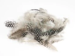 Wapsi Pióra Perlicy Guinea Body