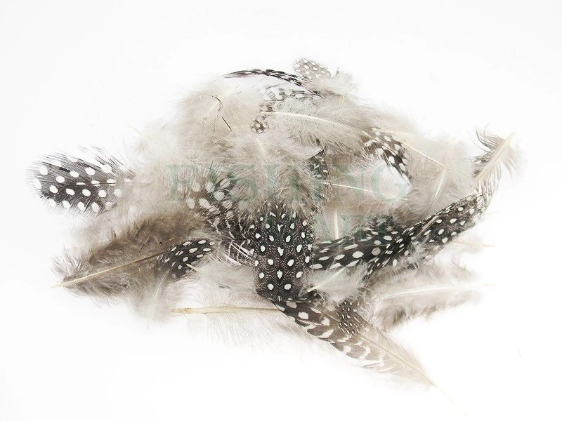 Wapsi Pióra Perlicy Guinea Body 1 Wapsi Pióra Perlicy Guinea Body