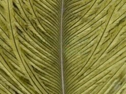 Wapsi Pióra Strusia Ostrich Herl