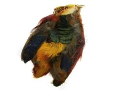 Wapsi Skóry Bażanta -Sklep Wapsi wapsi pheasant skin 1381316655