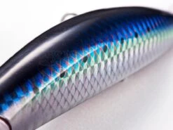 Jackson Woblery Athlete+ 14 VG -Sklep Wapsi woblery athlete 14 vg gj