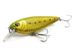 Molix Woblery Brugas