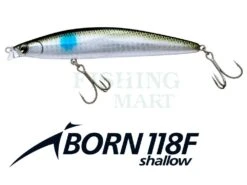 Ima Woblery IBORN 118F Shallow