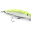 Rapala Woblery X-Rap Saltwater