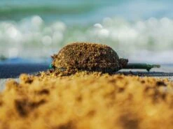 Zanęta CsuperL -Sklep Wapsi zaneta csuperl fs